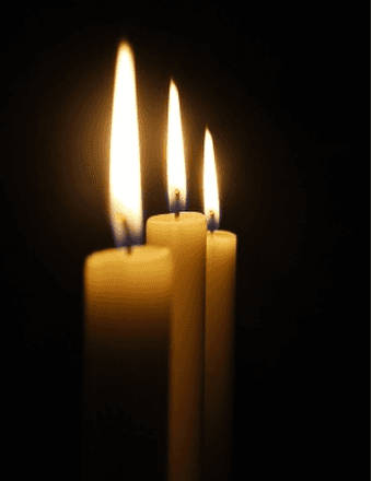 Sophie Vanderzee Obituary